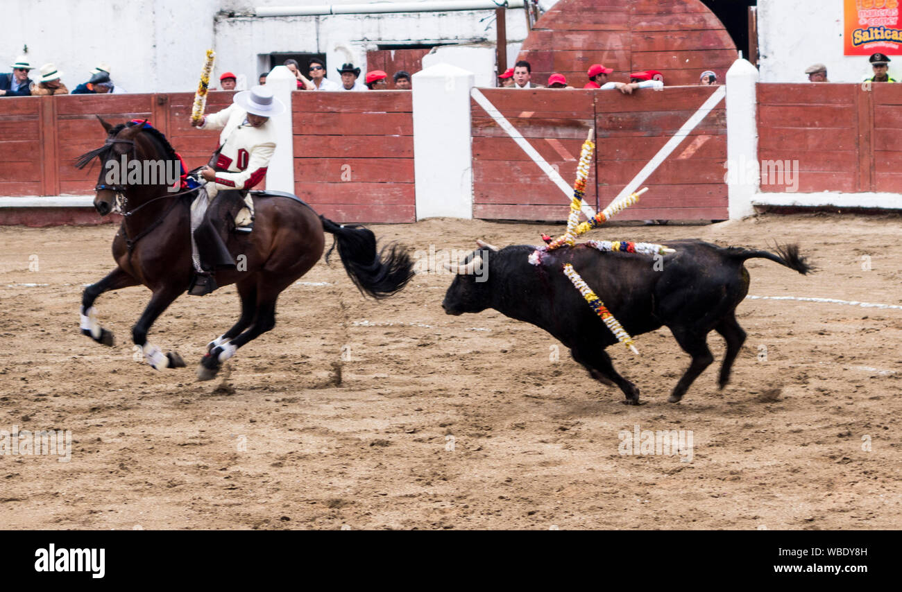 Ambato, ÉQUATEUR - Dec 15, 2015 - torero à cheval duels avec Bull au cours de Carnaval Banque D'Images
