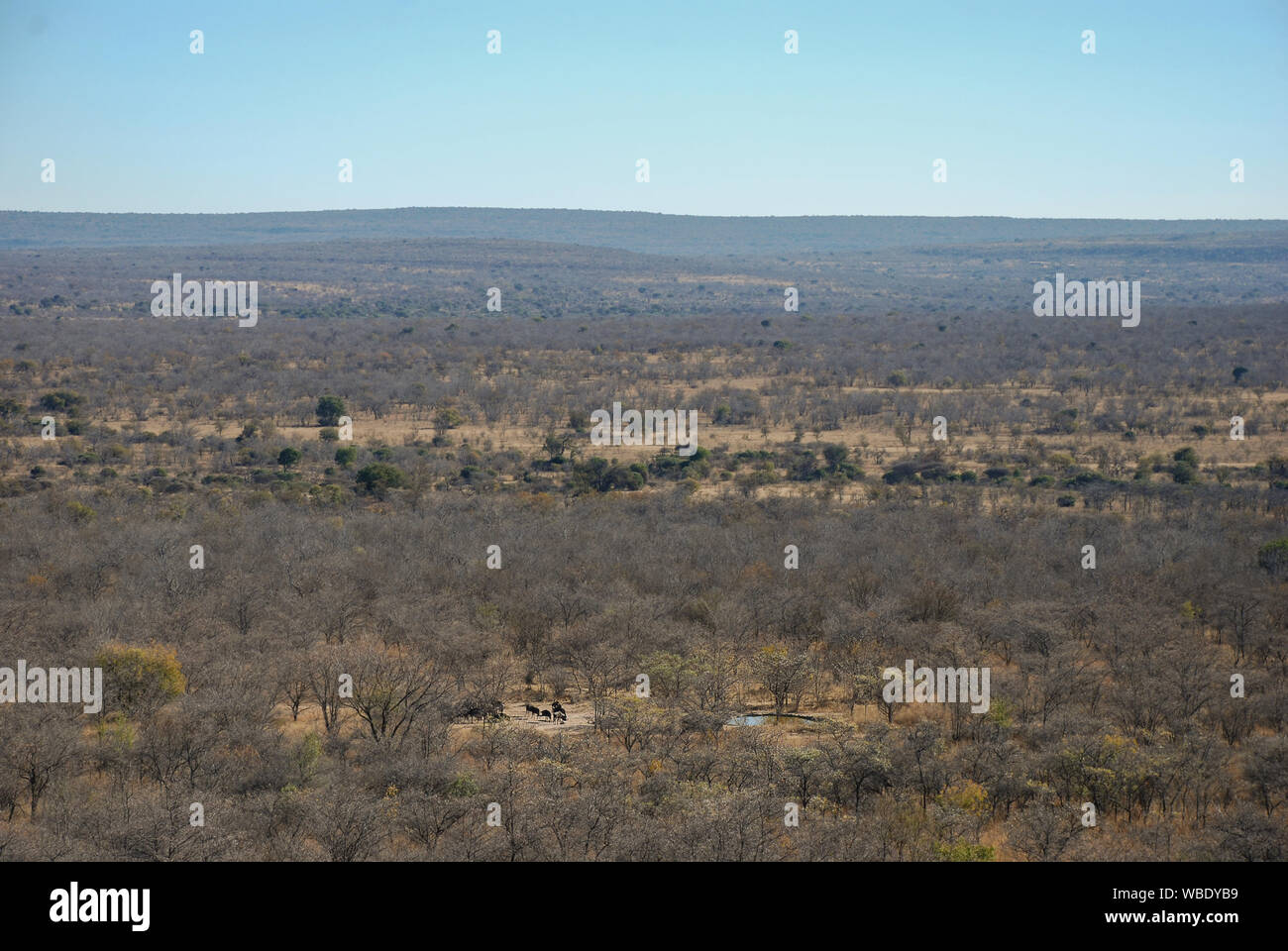 Le paysage de la province du Limpopo, dans le Waterberg, Afrique du Sud Banque D'Images