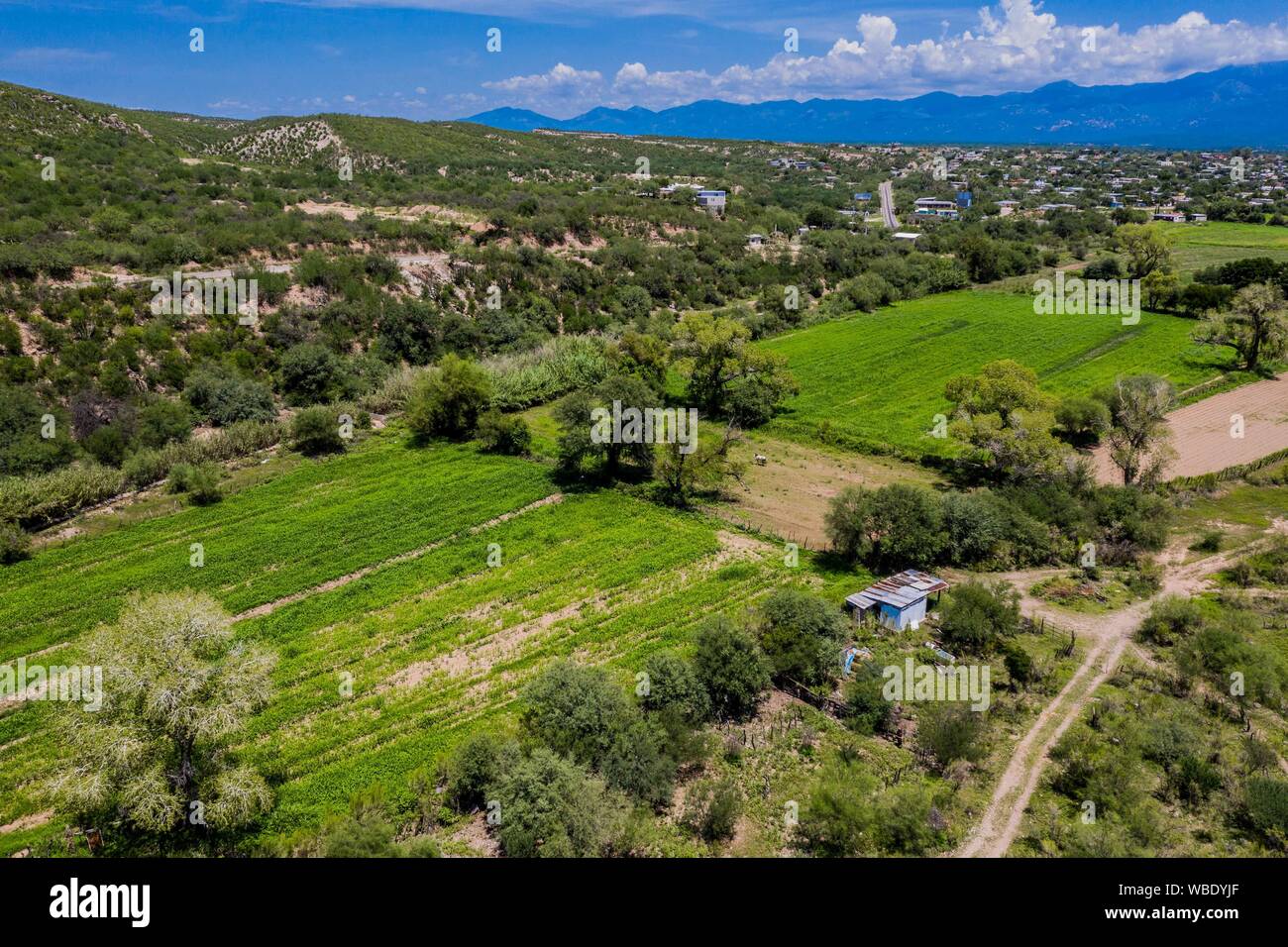 Vue aérienne de la rivière qui traverse la ville de Moctezuma, qui fait partie de la Sierra Itinéraire dans Sonora au Mexique. (© Photo : LuisGutierrez NortePhoto.com) / Vista Aérea de Rio en su paso por el pueblo Moctezuma, qué forma parte de la Ruta de la Sierra en Sonora au Mexique. (© Photo : / LuisGutierrez NortePhoto.com) Moctezuma, Sonora, Mexique, voyages, voyages, Banque D'Images
