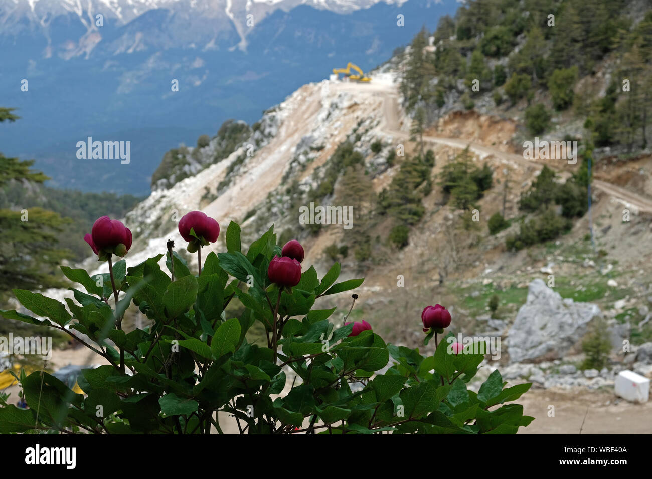 Carrières de marbre ouvert indifféremment donner d'importants dommages à la nature et les forêts Banque D'Images