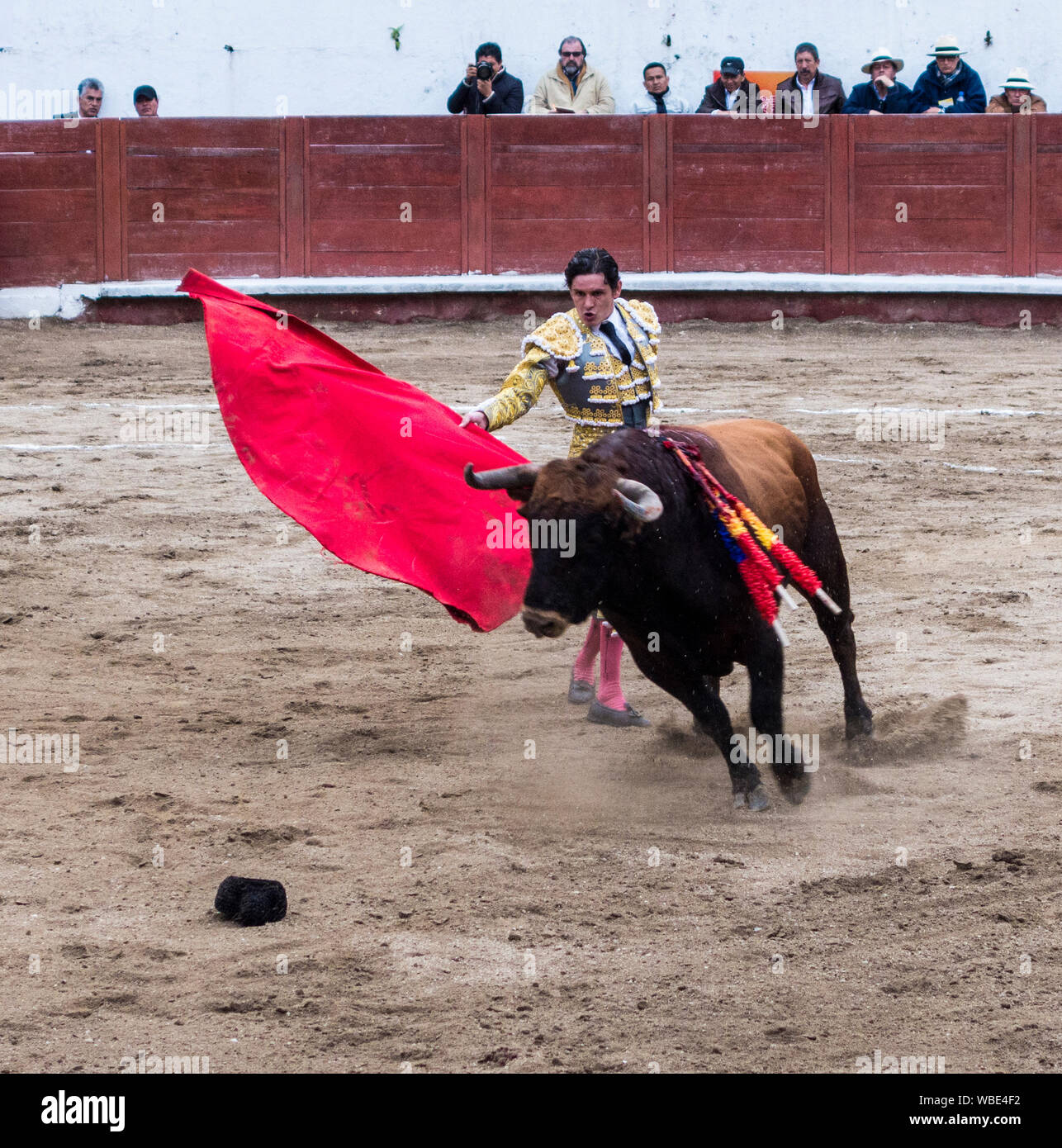 Ambato, ÉQUATEUR - Dec 15, 2015 - torero à pied duels avec Bull au cours de Carnaval Banque D'Images
