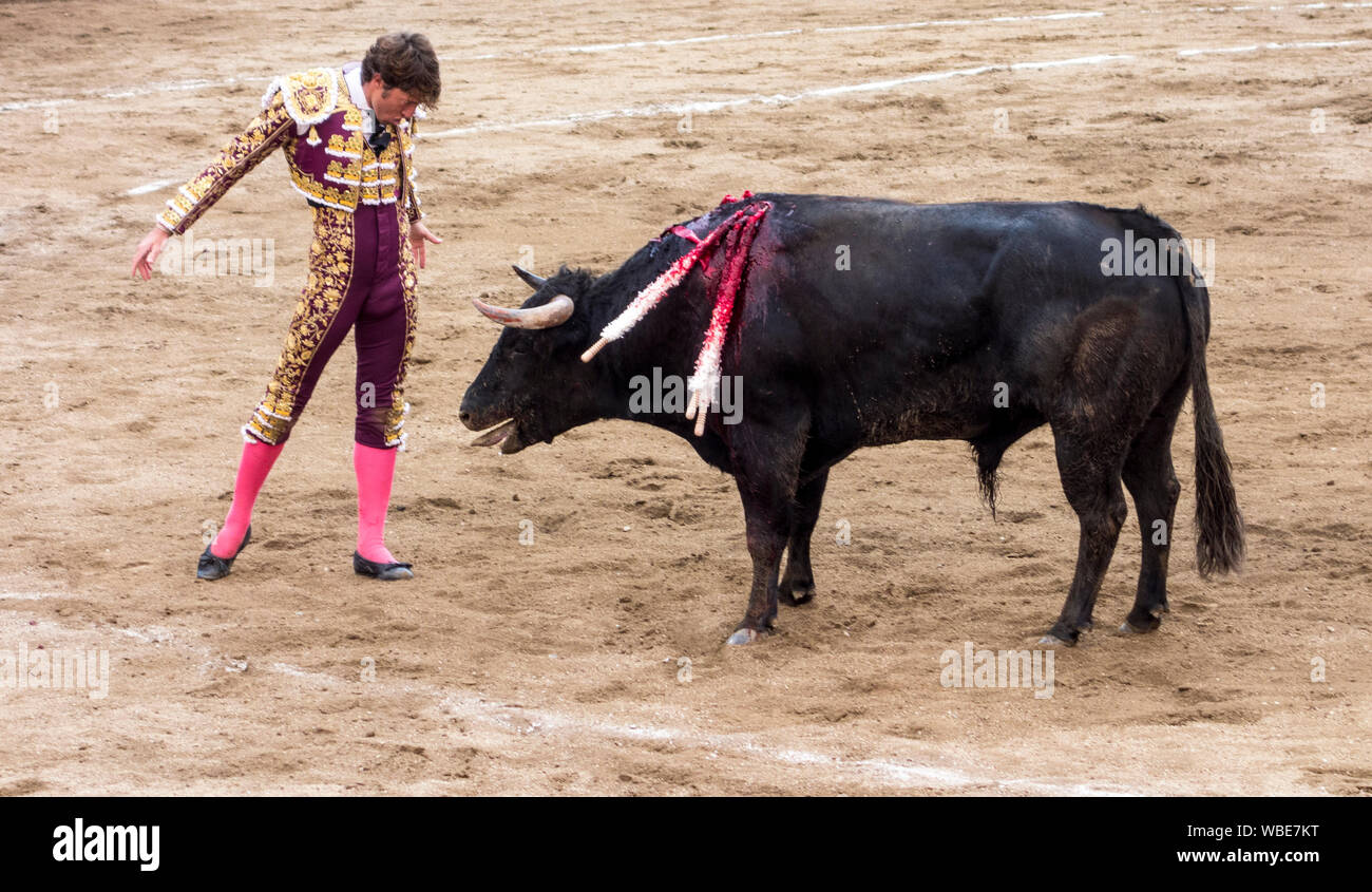 Ambato, ÉQUATEUR - Dec 15, 2015 - Torero stares down bull au cours de Carnaval Banque D'Images