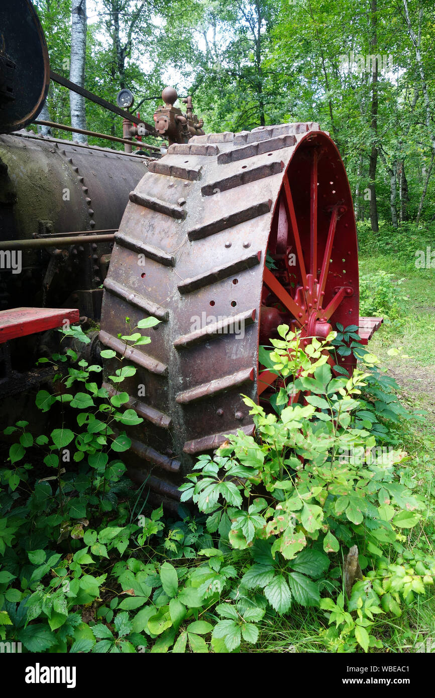 Tracteur à vapeur anciens seul parmi les pins Au Minnesota Banque D'Images