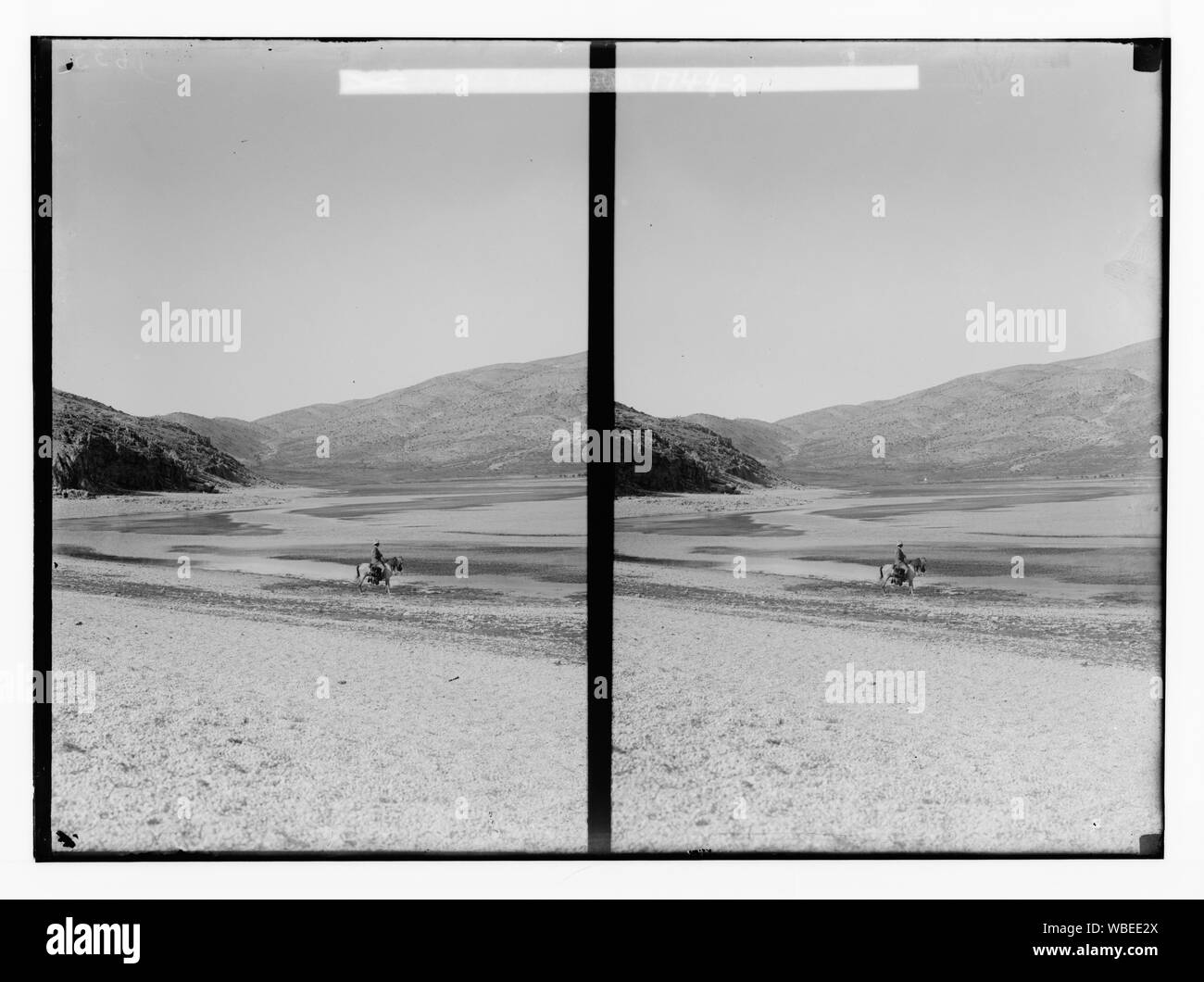 De cèdres à Baalbek. Yammuneh Lac Abstract/medium : G. Eric et Edith Matson Photograph Collection Banque D'Images