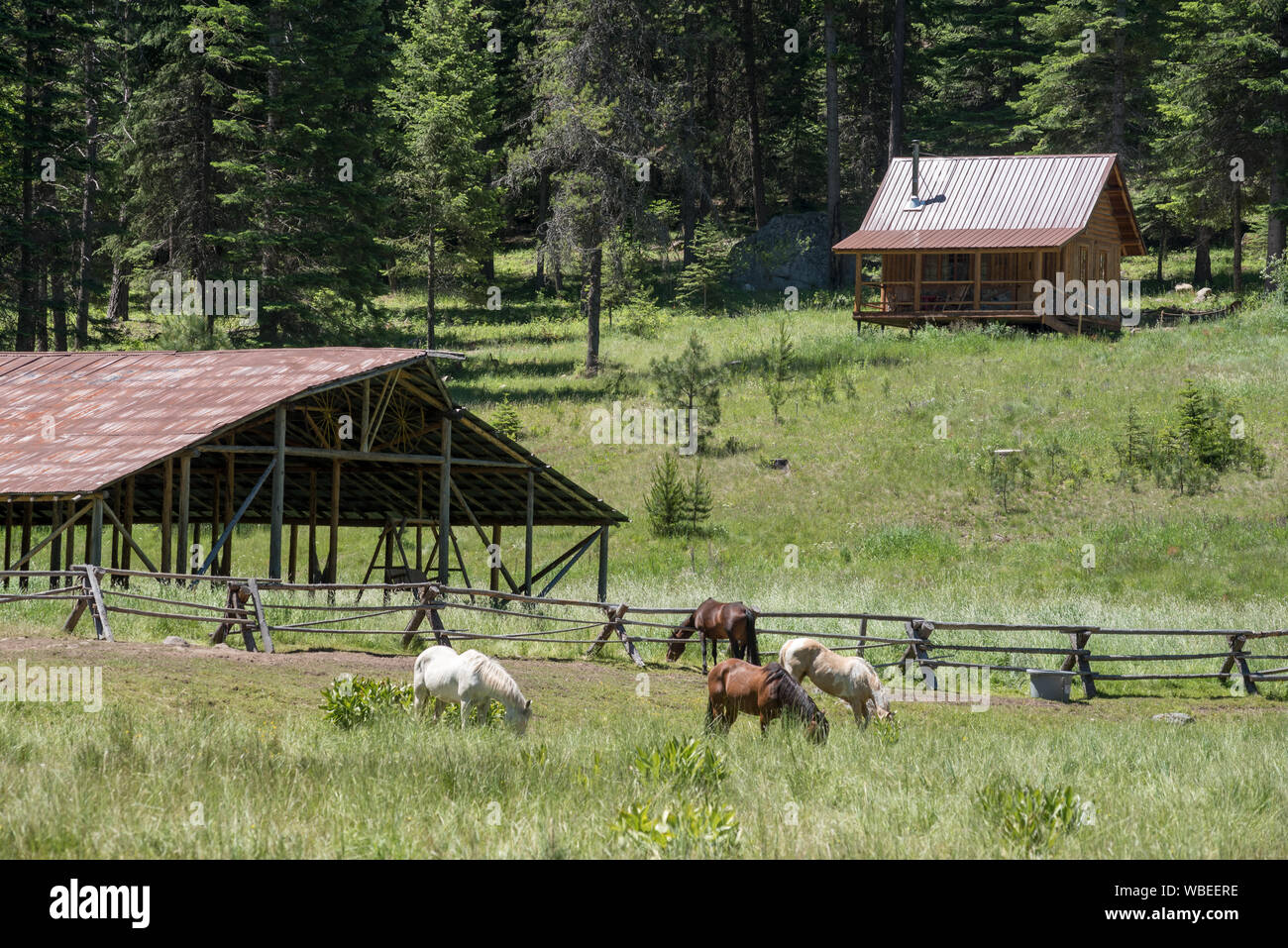 Les chevaux, grange et and log cabin à l'Minam River Lodge dans les montagnes de l'Oregon Wallowa. Banque D'Images