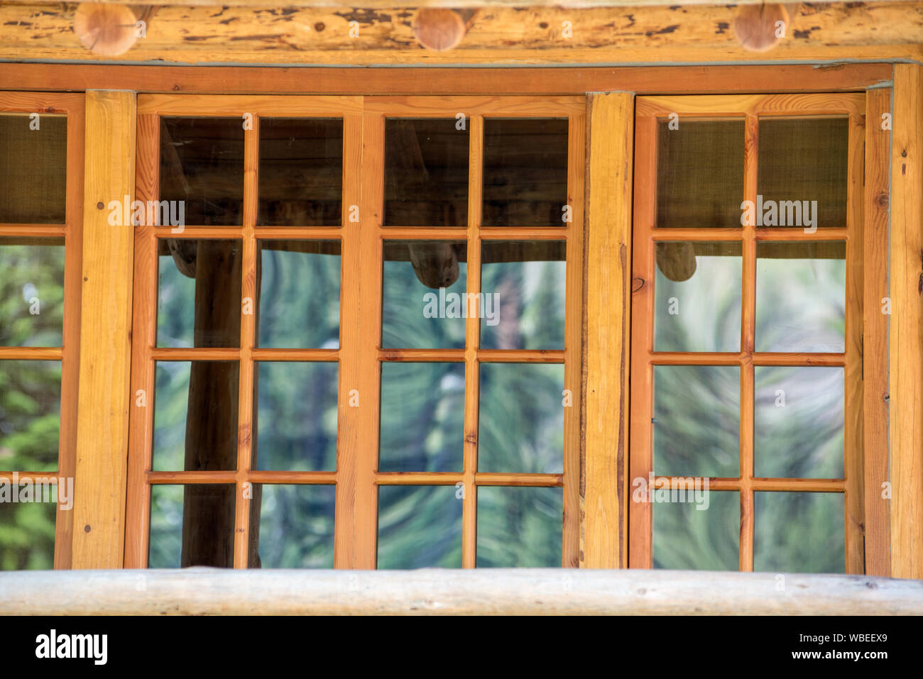 Arbres se reflétant dans la fenêtre d'une cabane à l'Minam River Lodge dans les montagnes de l'Oregon Wallowa. Banque D'Images