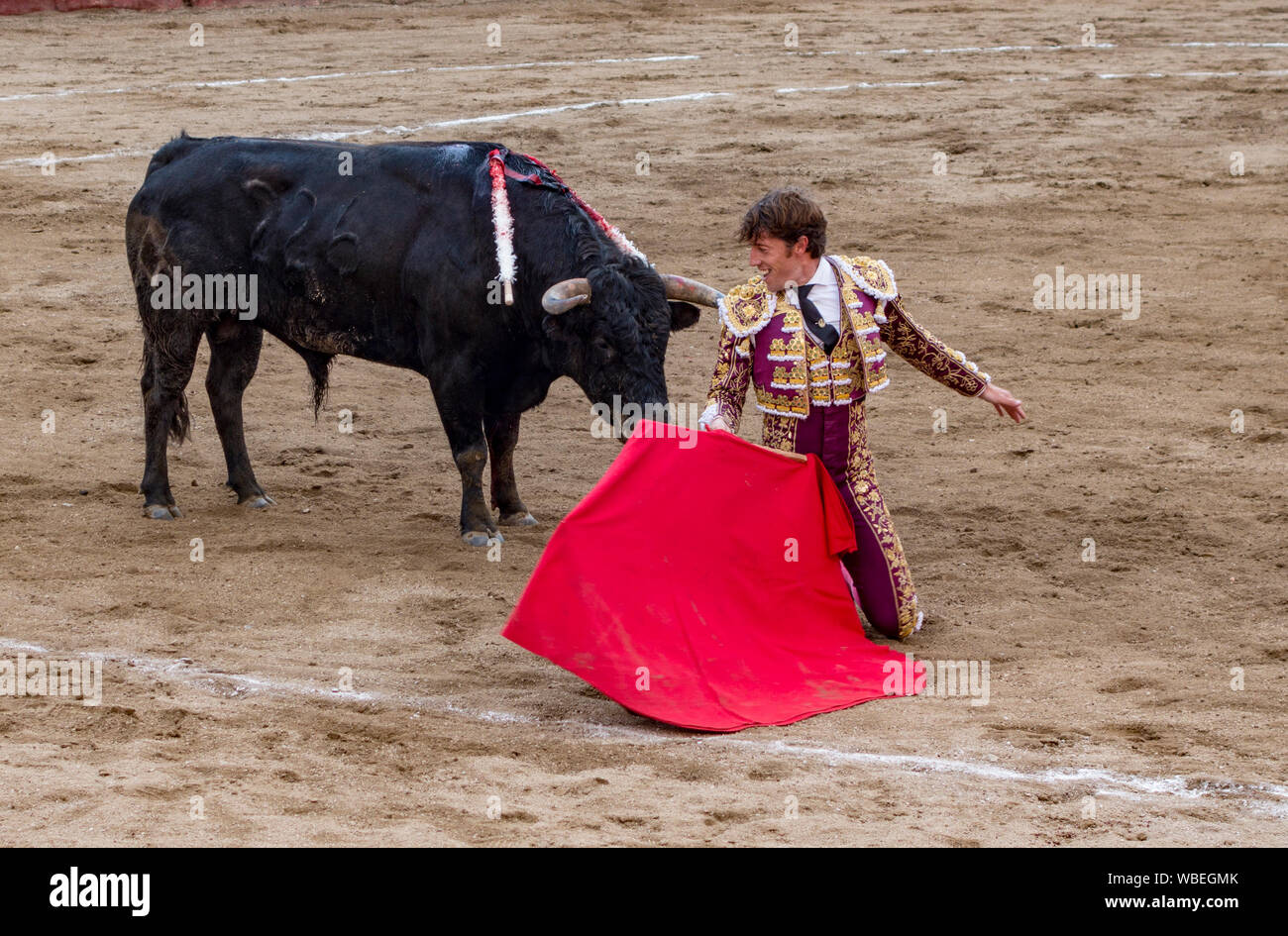 Torero dans l'anneau avec Bull en Banos, Equateur le Feb 15, 2015 Banque D'Images