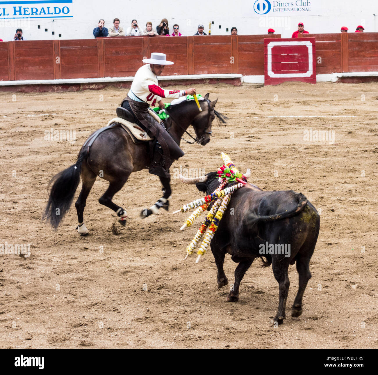 Ambato, ÉQUATEUR - Dec 15, 2015 - torero à cheval duels avec Bull au cours de Carnaval Banque D'Images