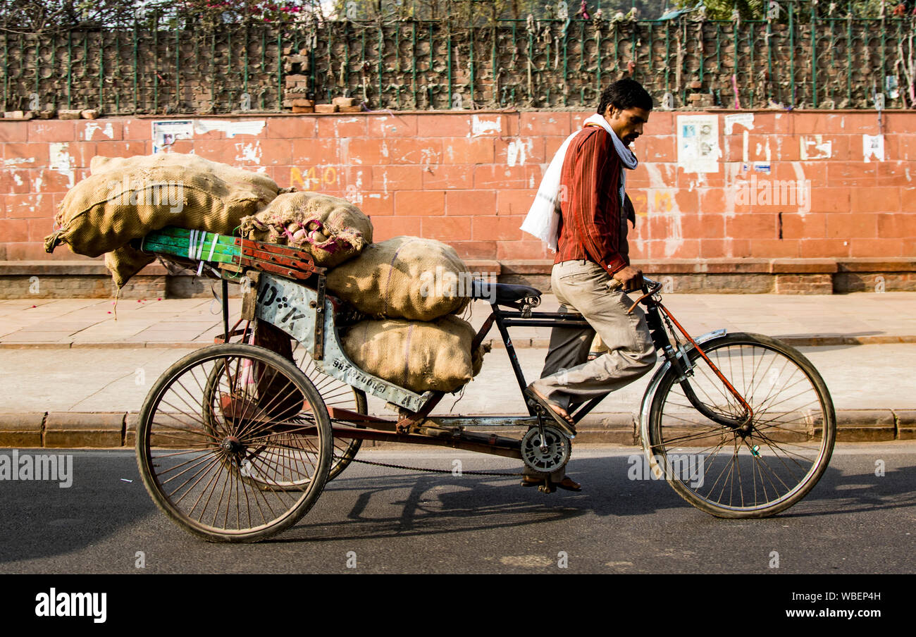 New Delhi, Inde, 20 févr. 2018 - Homme porte grand chargement de grain sur son vélo Banque D'Images