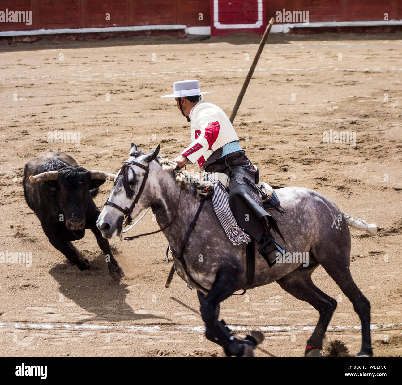 Ambato, ÉQUATEUR - Dec 15, 2015 - torero à cheval duels avec Bull au cours de Carnaval Banque D'Images