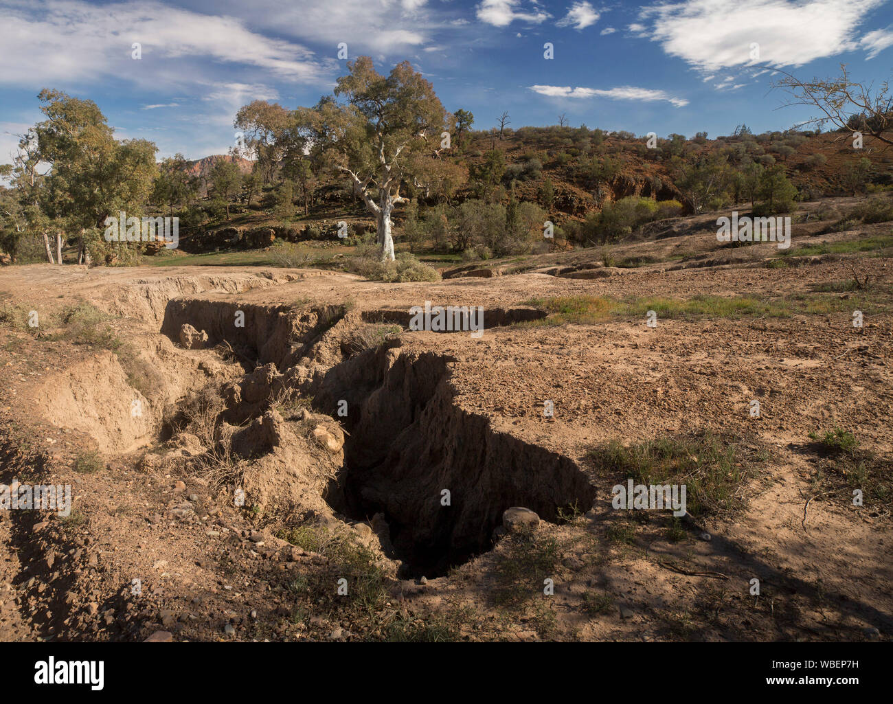 Paysage avec profondeur et fissures béantes sur le sol au pied de collines de faible altitude en raison de l'érosion par l'eau, le parc national de Flinders en Australie Banque D'Images