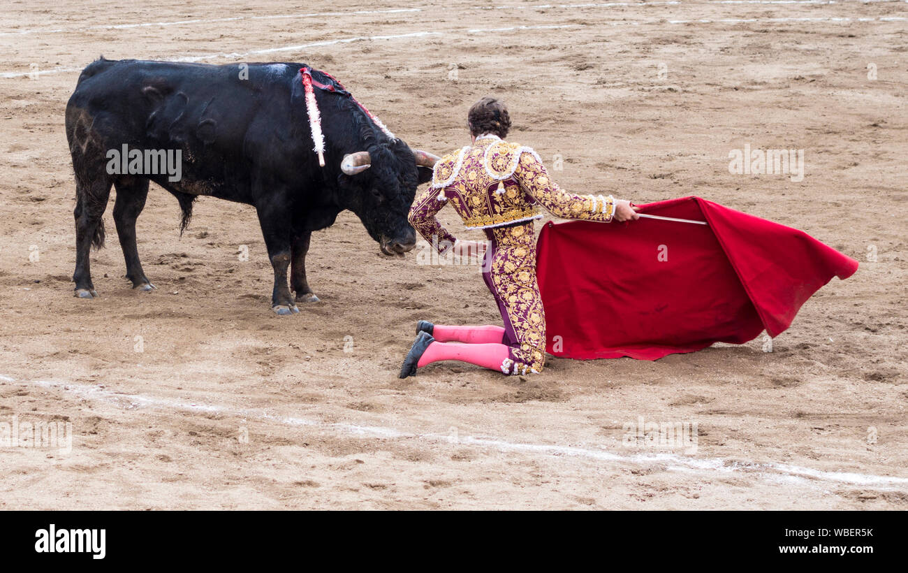 Ambato, ÉQUATEUR - Dec 15, 2015 - torero à pied duels avec Bull au cours de Carnaval Banque D'Images