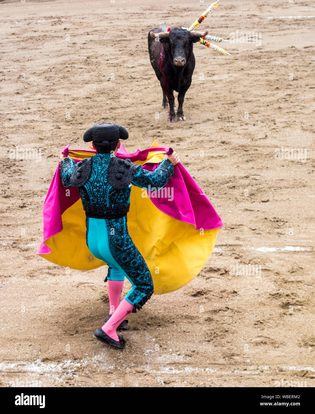 Ambato, ÉQUATEUR - Dec 15, 2015 - torero à pied duels avec Bull au cours de Carnaval Banque D'Images