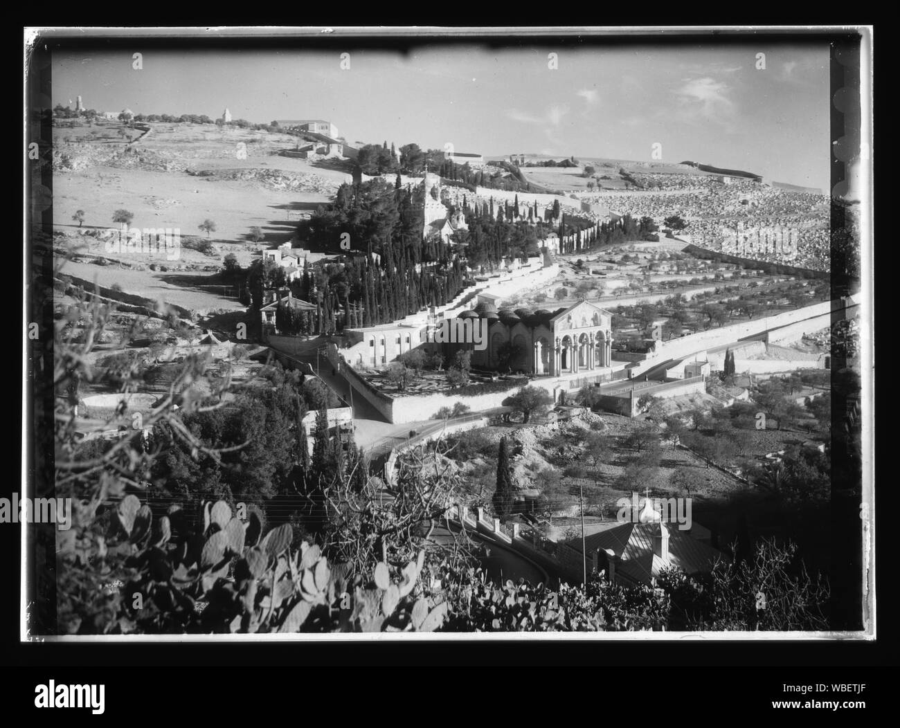 Jardin de Gethsémané et Mt. d'Olives Abstract/medium : G. Eric et Edith Matson Photograph Collection Banque D'Images