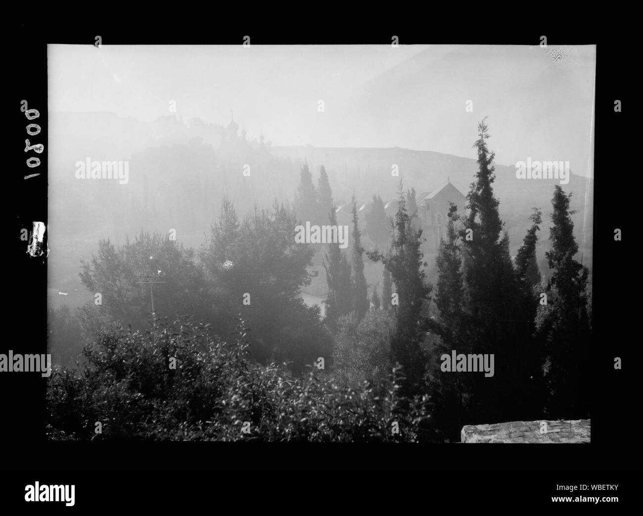 Jardin de Gethsémané vu à travers le brouillard de l'autre côté de la vallée Abstract/medium : G. Eric et Edith Matson Photograph Collection Banque D'Images