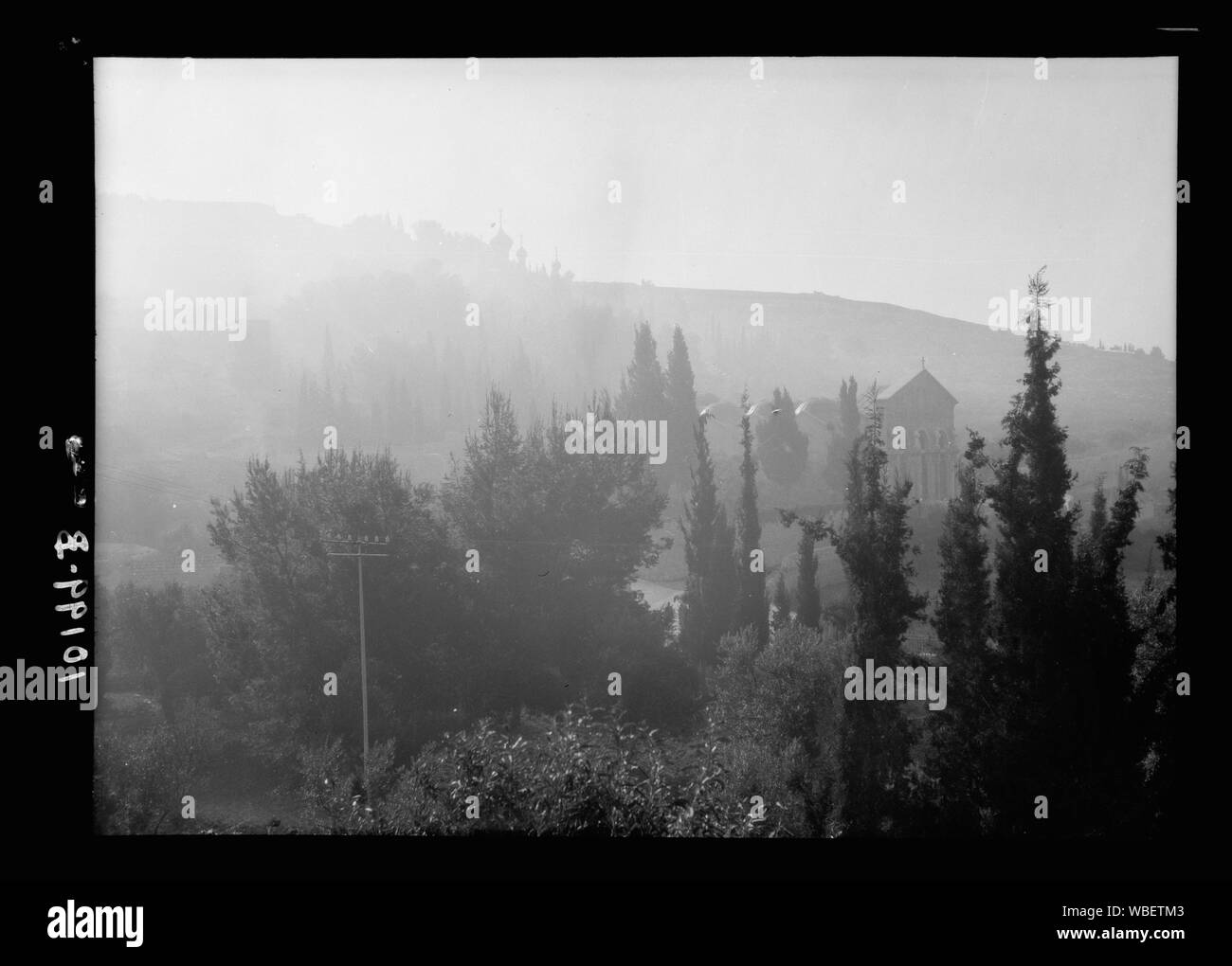 Jardin de Gethsémané vu à travers le brouillard de l'autre côté de la vallée Abstract/medium : G. Eric et Edith Matson Photograph Collection Banque D'Images