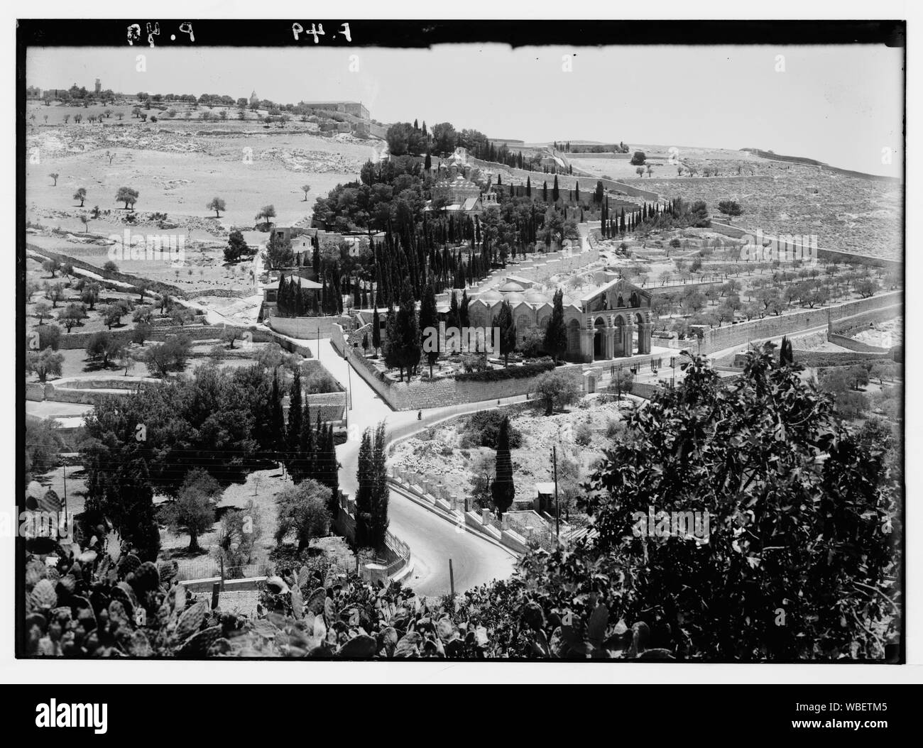 Jardin de Gethsémani. Les pentes inférieures d'Olivet montrant la nouvelle basilique Abstract/medium : G. Eric et Edith Matson Photograph Collection Banque D'Images