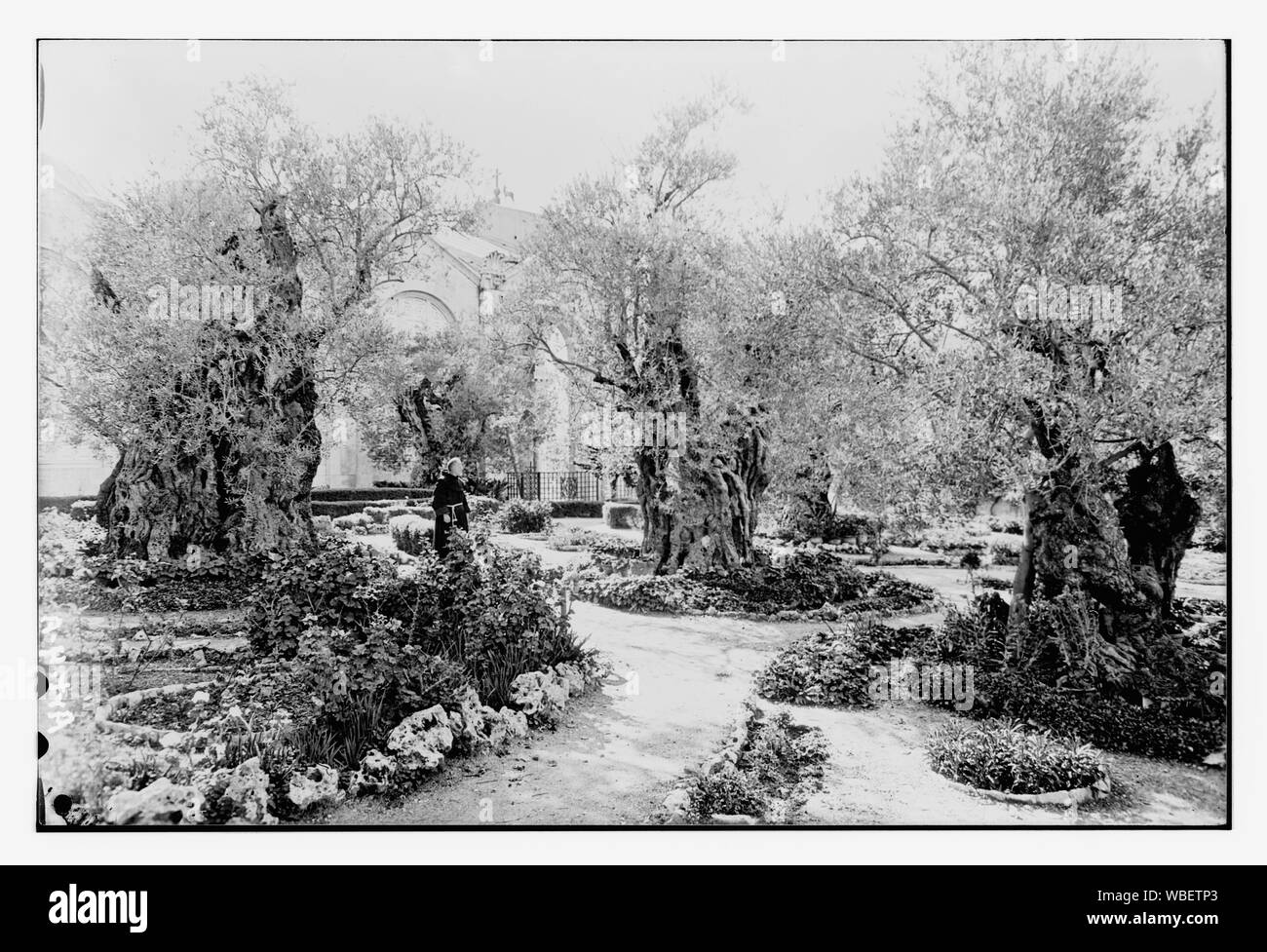Jardin de Gethsémané, l'intérieur de la cabine Abstract/medium : G. Eric et Edith Matson Photograph Collection Banque D'Images