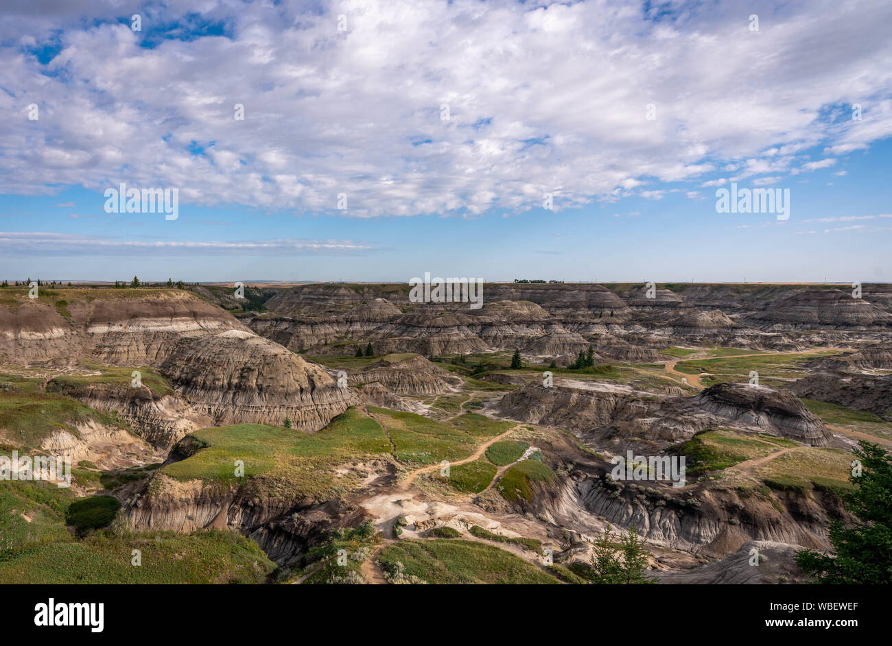 Dans Horseshoe Canyon badlands de l'Alberta. Banque D'Images