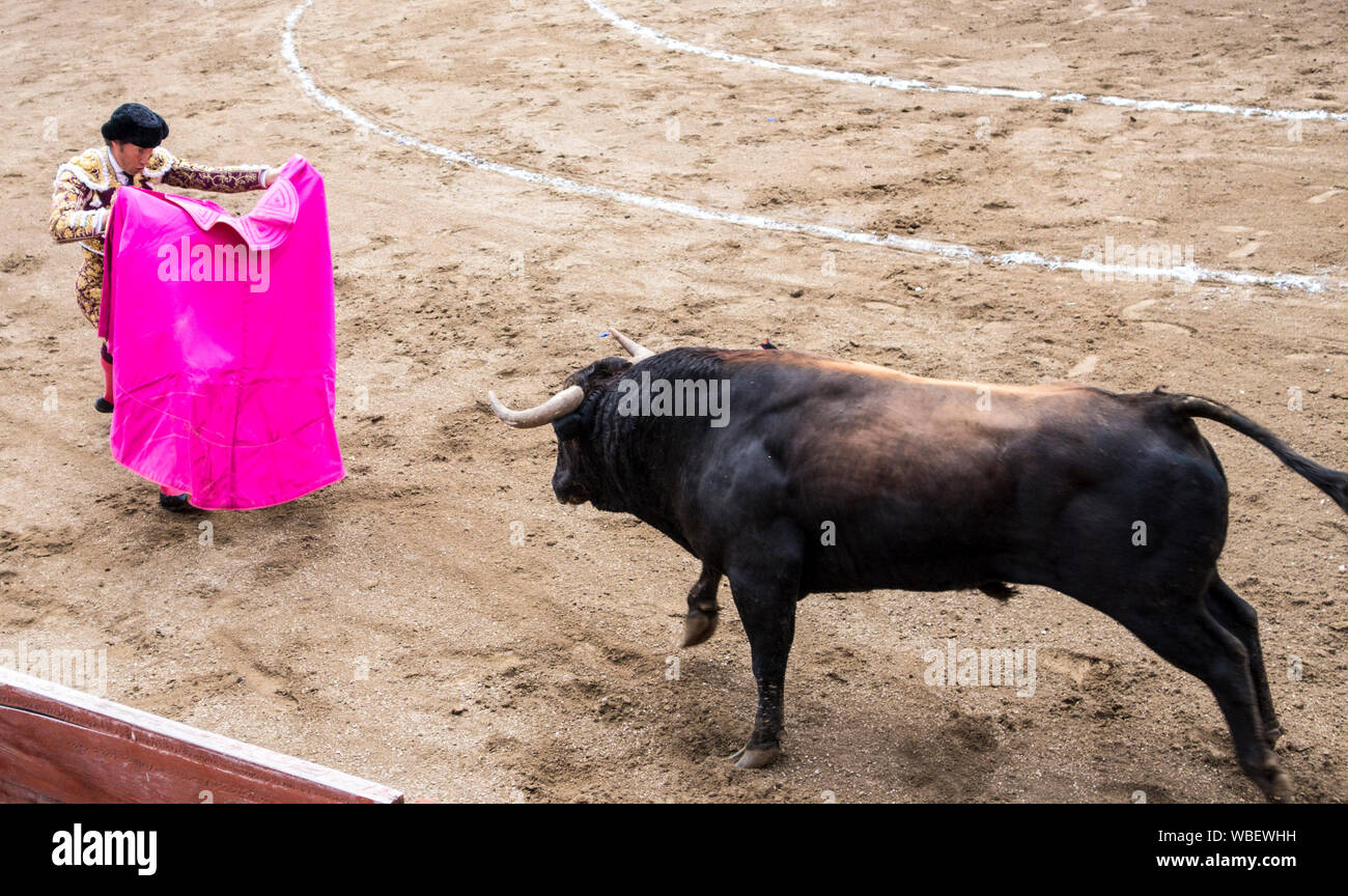 Ambato, ÉQUATEUR - Dec 15, 2015 - torero à pied duels avec Bull au cours de Carnaval Banque D'Images