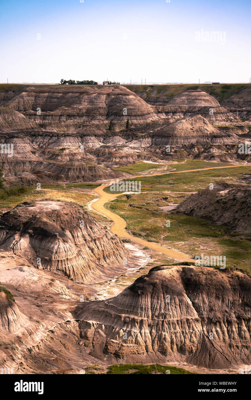 Avis de Horseshoe Canyon Badlands de l'Alberta. Banque D'Images