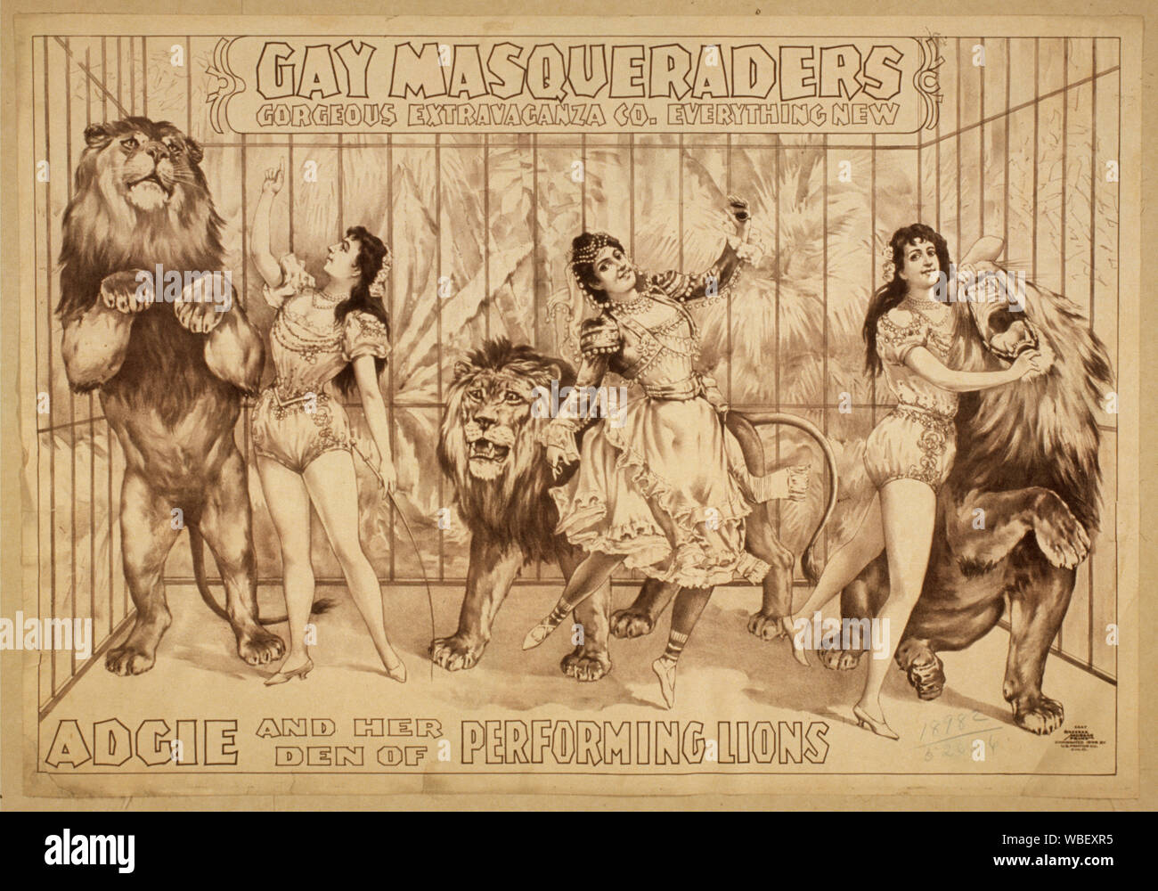 Gay-Masqueraders Gorgeous Extravaganza Co. tout nouveau. Abstract/moyenne : 1 : Impression noir et blanc lithographie ; feuilles 74 x 105 cm. (Format affiche) Banque D'Images