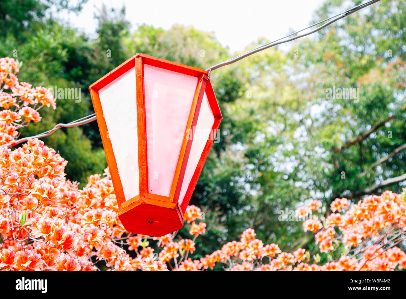 Lanterne suspendue avec fleurs de printemps au parc du château de Kochi Kochi, Shikoku, Japon Banque D'Images