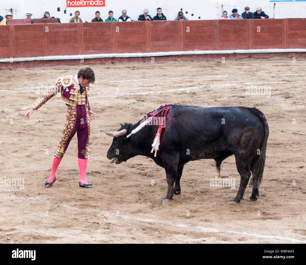 Ambato, ÉQUATEUR - Dec 15, 2015 - torero à pied duels avec Bull au cours de Carnaval Banque D'Images