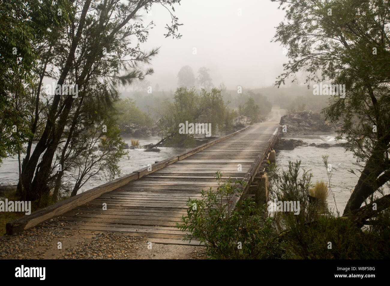 Route de bois longue et étroite traversée de pont jonché de roches de la rivière Mann ourlé à arbres et disparaître dans la brume du petit matin dans le NSW Australie Banque D'Images