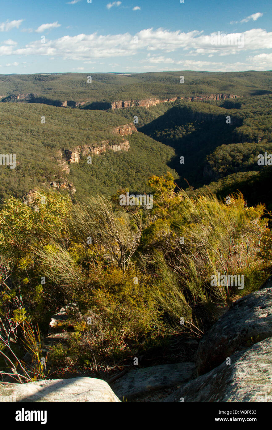 Vue imprenable sur paysage de collines boisées de Great Dividing Range rompu par gorges escarpées qui s'étend à l'horizon lointain et ciel bleu , NSW Australie Banque D'Images