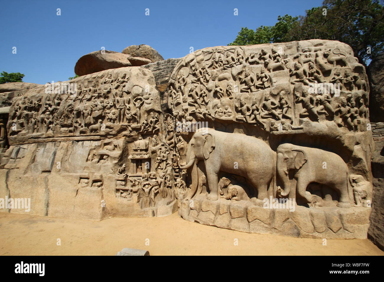 La pénitence d'Arjuna, bas-relief sculpté, de Mamallapuram, Tamil Nadu, Inde Banque D'Images