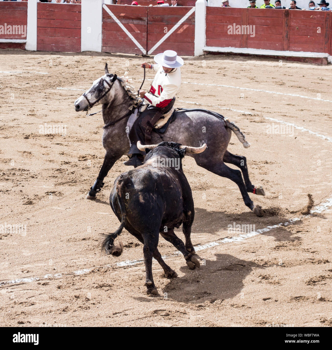 Ambato, ÉQUATEUR - Dec 15, 2015 - torero à cheval duels avec Bull au cours de Carnaval Banque D'Images
