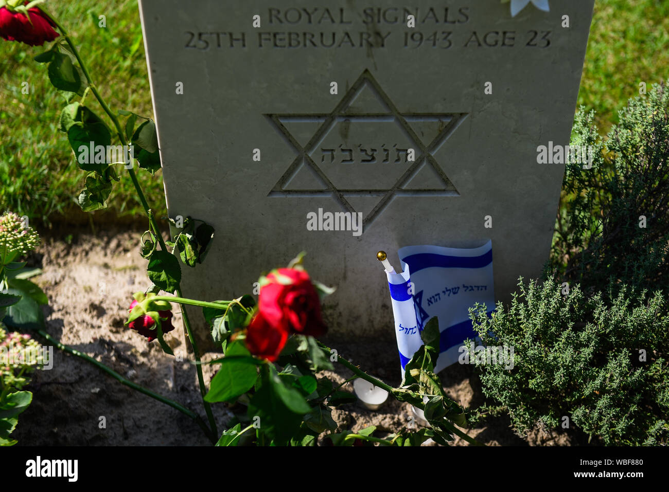 Pierres tombales des militaires britanniques tombés lors de la Seconde Guerre mondiale, 2 à la communauté militaire de cimetière Rakowicki section.La tombe service de l'Armée britannique du Rhin, Commonwealth graves réunis de toute la Pologne en trois cimetières, Rakowicki étant le plus grand. À l'heure actuelle, 522 alliés militaires sont enterrés dans le cimetière militaire de Cracovie. Banque D'Images