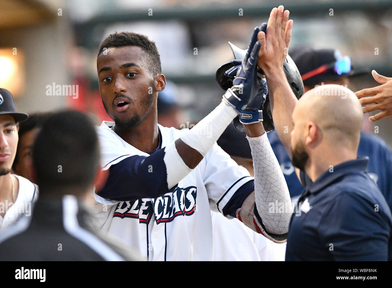 Lakewood, New Jersey, USA. Août 26, 2019. BlueClaws Lakewood fielder droite CARLOS DE LA CRUZ (27) est félicité par ses coéquipiers sur le banc après avoir frappé un home run pendant le match contre le rivage Lakewood. DE LA CRUZ a 3 s'exécute en tant que beat Lakewood 5-4 Delmarva. Credit : Ken Inness/ZUMA/Alamy Fil Live News Banque D'Images