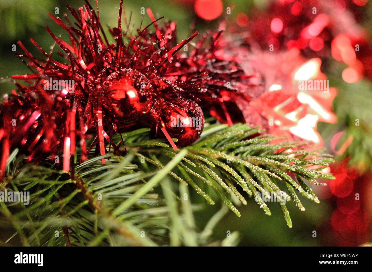Gros plan de sapin de Noël rouge ornement Banque D'Images