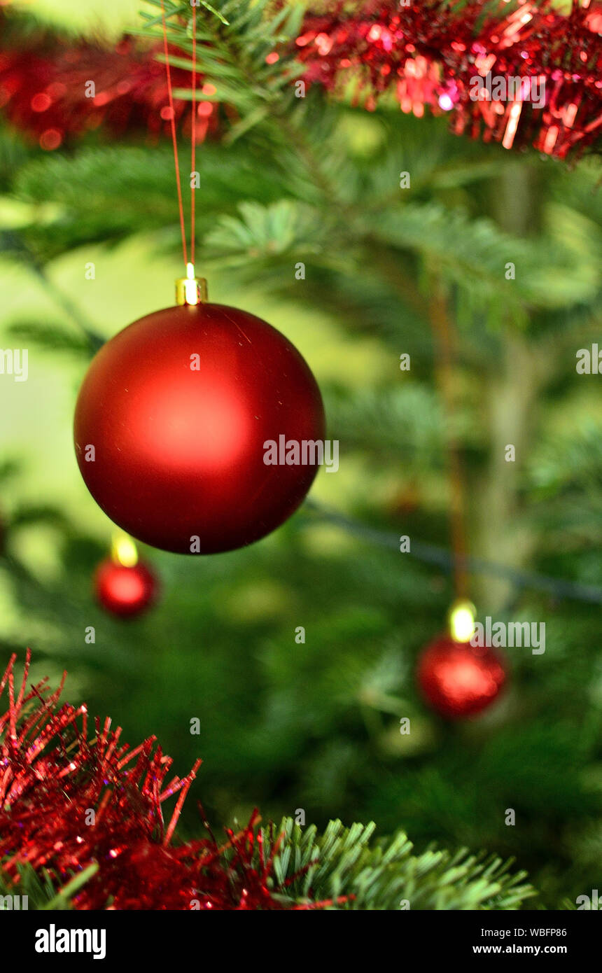 Gros plan d'un boule rouge sur l'arbre de Noël Banque D'Images