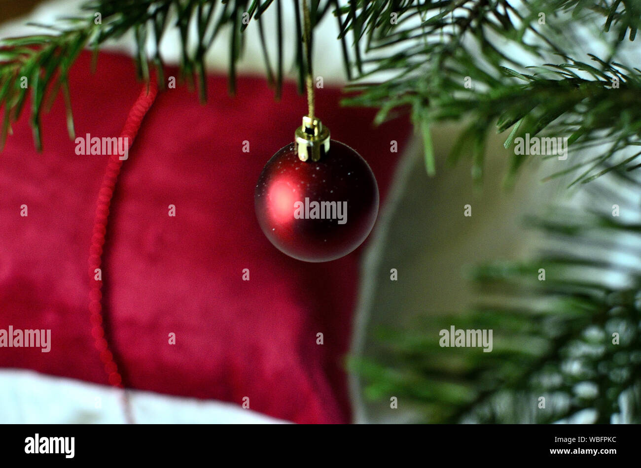 Gros plan d'un boule rouge sur la branche de l'arbre de Noël Banque D'Images