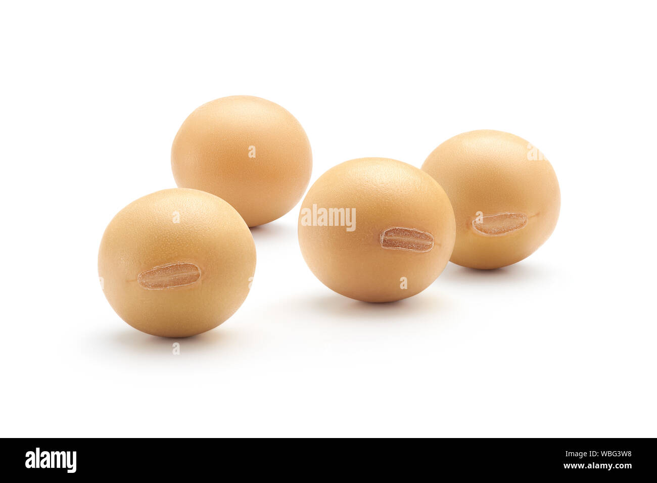 Le soja isolé sur fond blanc, close-up Banque D'Images