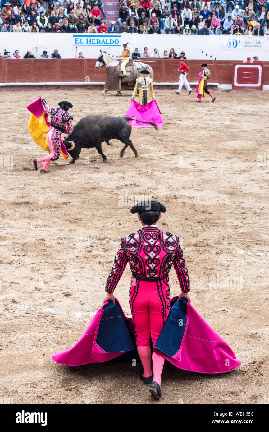 Ambato, ÉQUATEUR - Dec 15, 2015 - torero à pied duels avec Bull au cours de Carnaval Banque D'Images