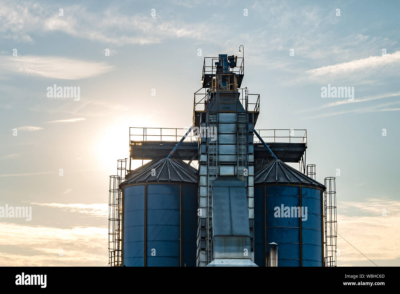 Silos d'argent sur l usine de fabrication pour séchage traitement nettoyage et stockage de produits agricoles, de la farine, des céréales et des grains. Elevat grenier Banque D'Images