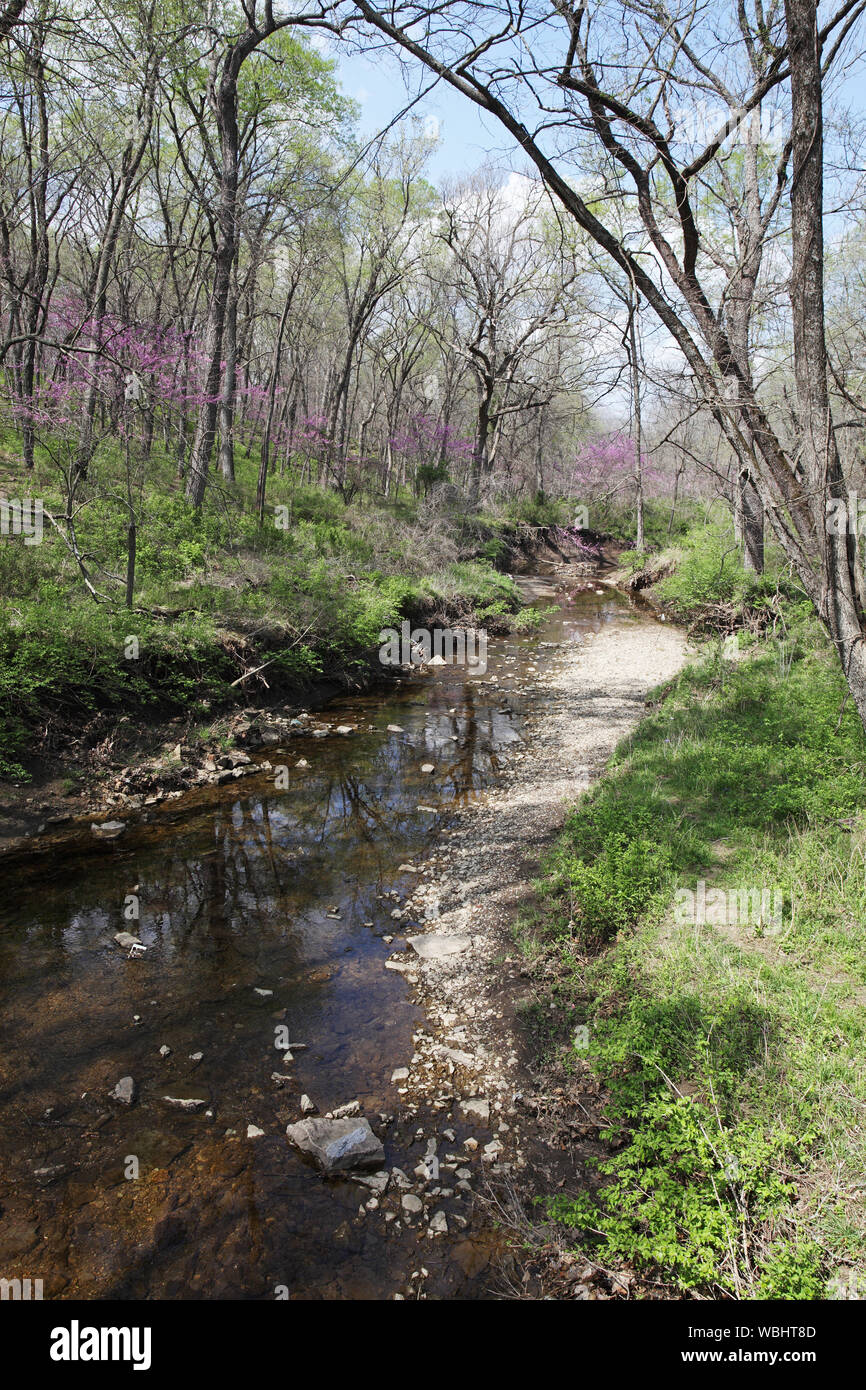 Peu de Cedar Creek Ernie Miller Park Olathe Kansas USA Mars 2012 Banque D'Images