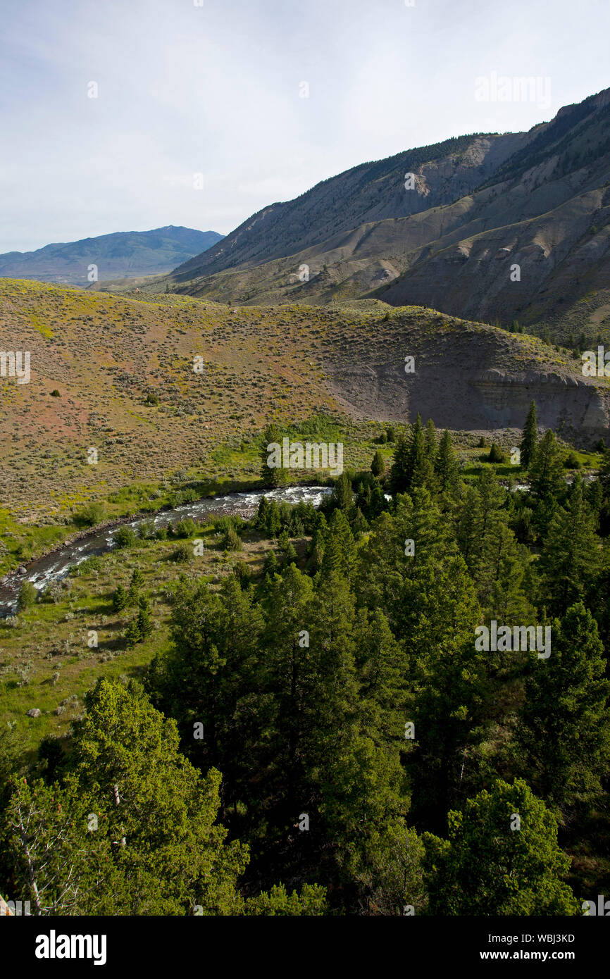 Rivière Gardiner et valley Parc National de Yellowstone au Wyoming USA Juin 2015 Banque D'Images Rivière Gardiner et valley Parc National de Yellowstone au Wyoming USA Juin 2015 Banque D'Images