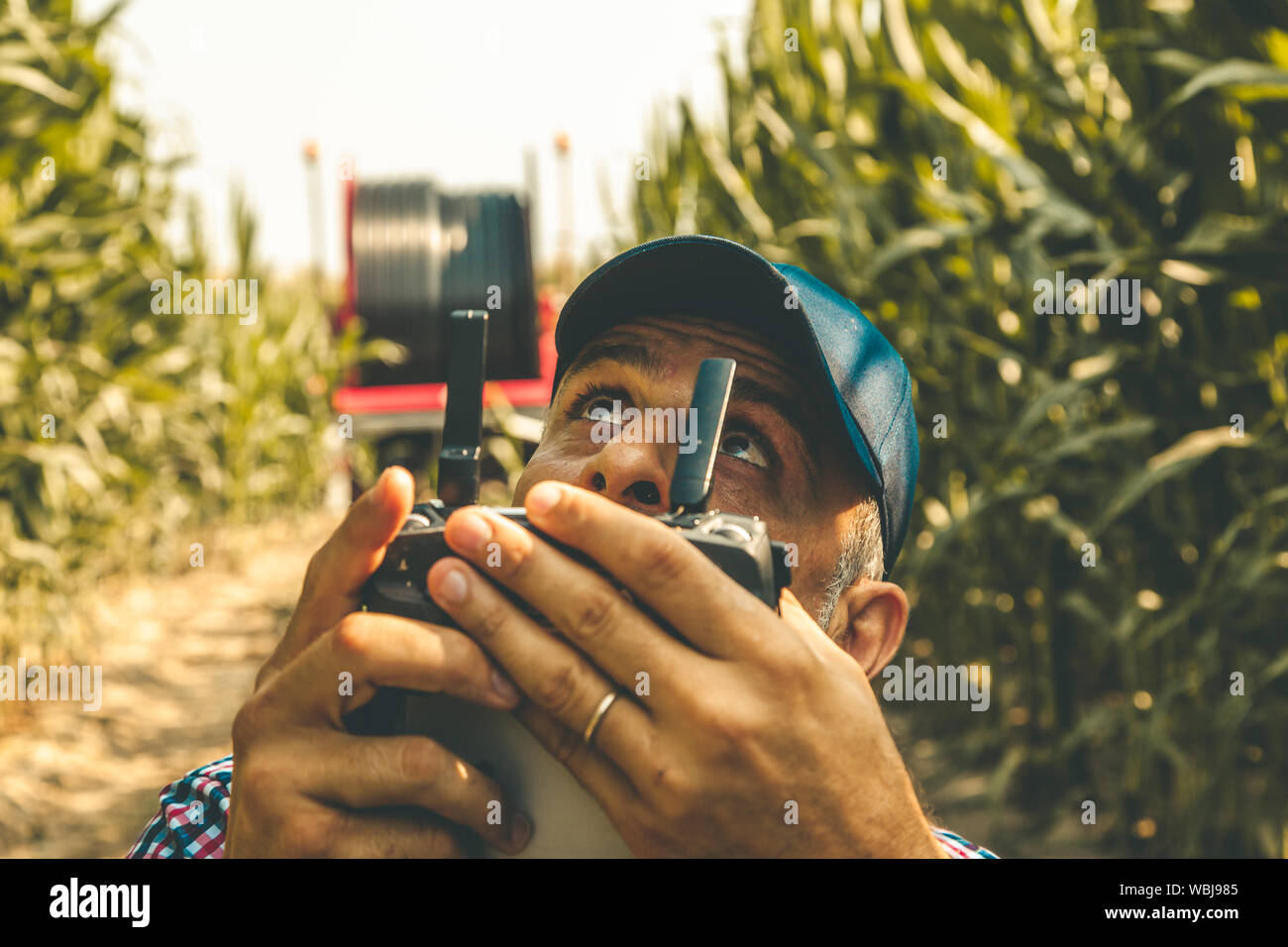 L'agriculteur moderne de la technologie l'analyse de la croissance du maïs en volant un bourdon sur ses champs cultivés. concept d'exploitation durable de la nature Banque D'Images