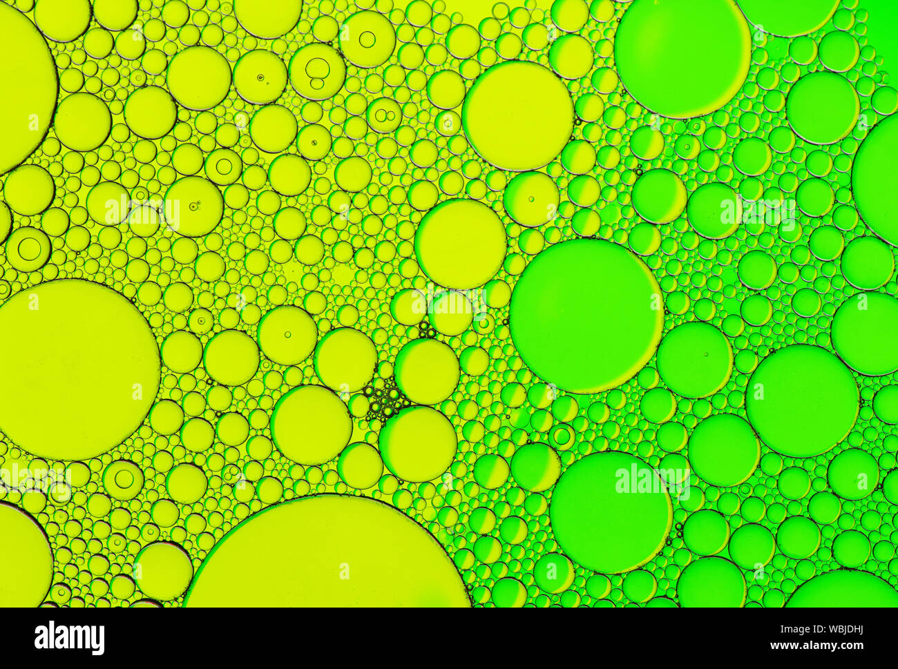 Motifs de bulles multicolores formés par l'huile flottant sur l'eau Banque D'Images