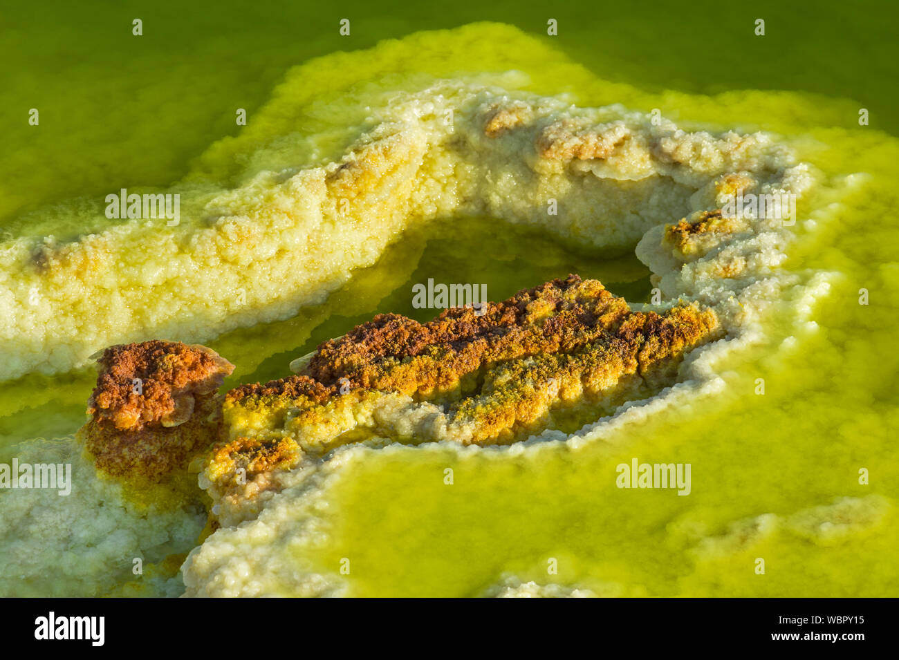 Les dépôts de soufre dans une saumure acide le champ géothermique de piscine, de dépression Danakil, Dallol, Triangle Afar, Ethiopie Banque D'Images