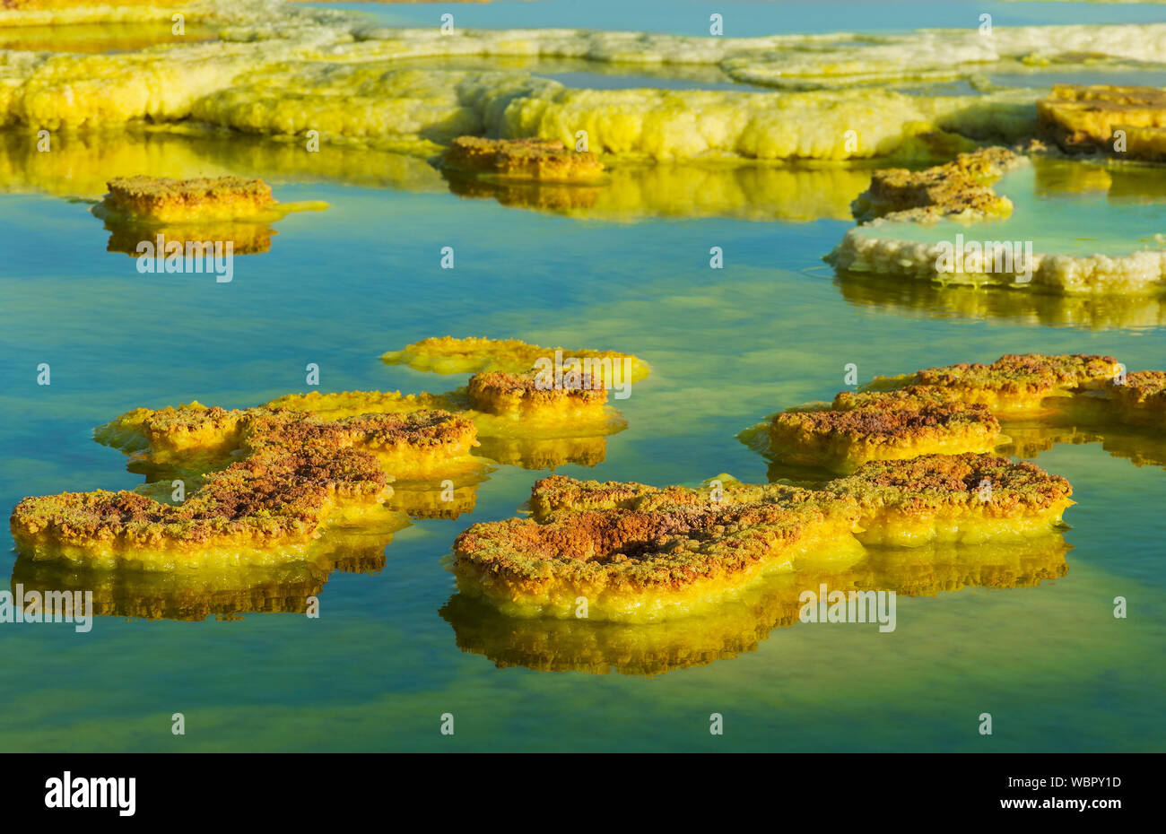 Les dépôts de soufre dans une saumure acide le champ géothermique de piscine, de dépression Danakil, Dallol, Triangle Afar, Ethiopie Banque D'Images