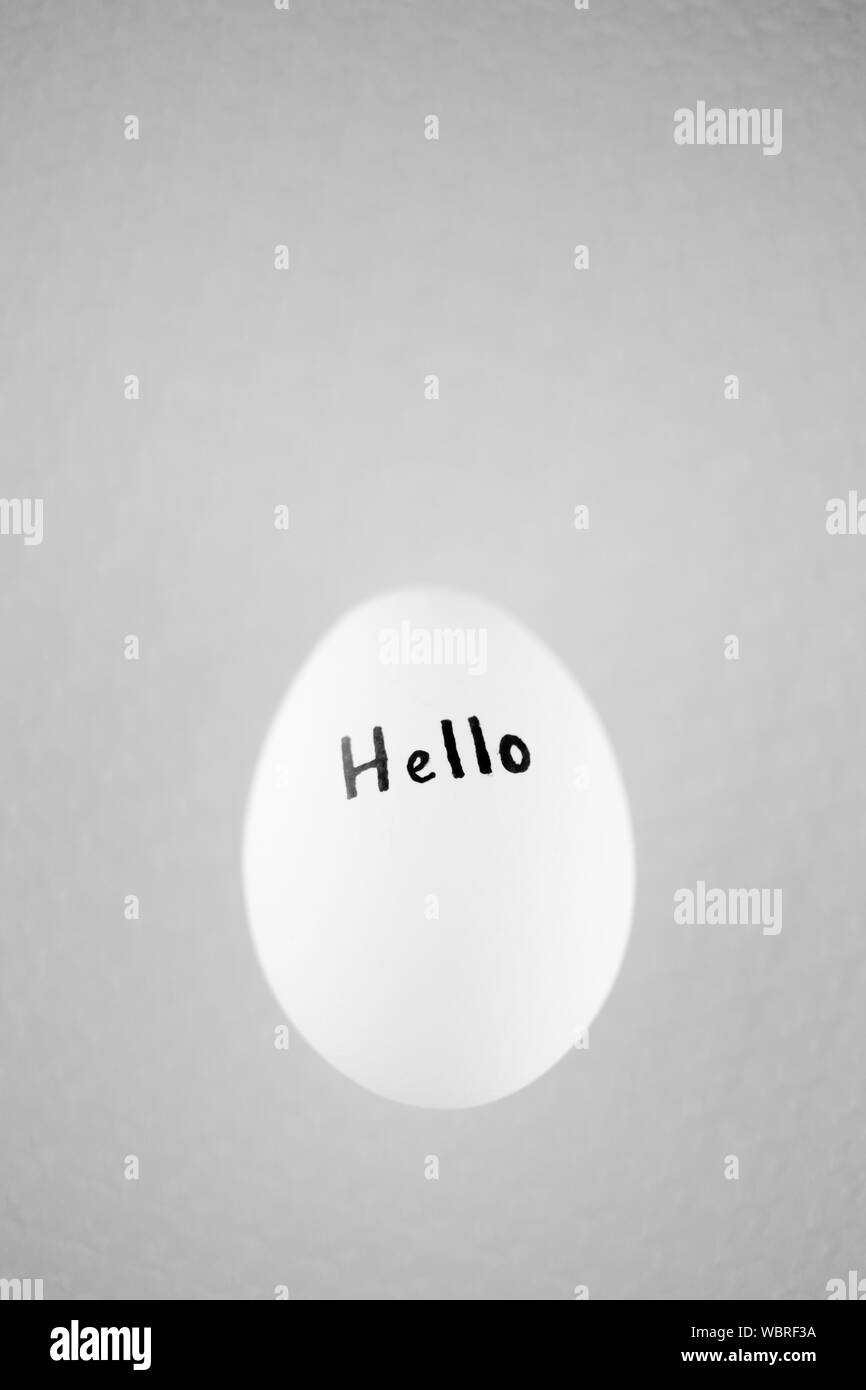 Oeuf de poule blanche avec inscription noire bonjour, P.C. Banque D'Images