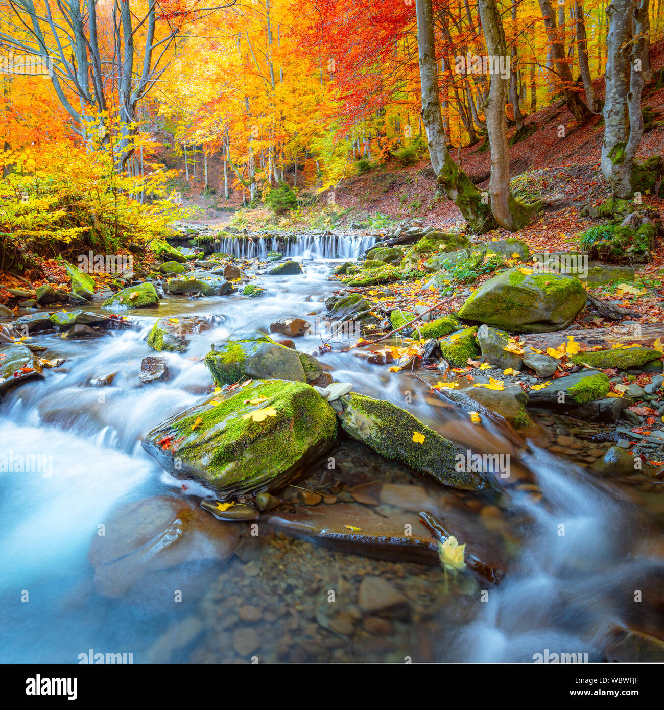 Paysage d'automne Automne - cascade de la rivière dans le parc forestier d'automne avec jaune rouge feuilles, grandes résolutions Banque D'Images