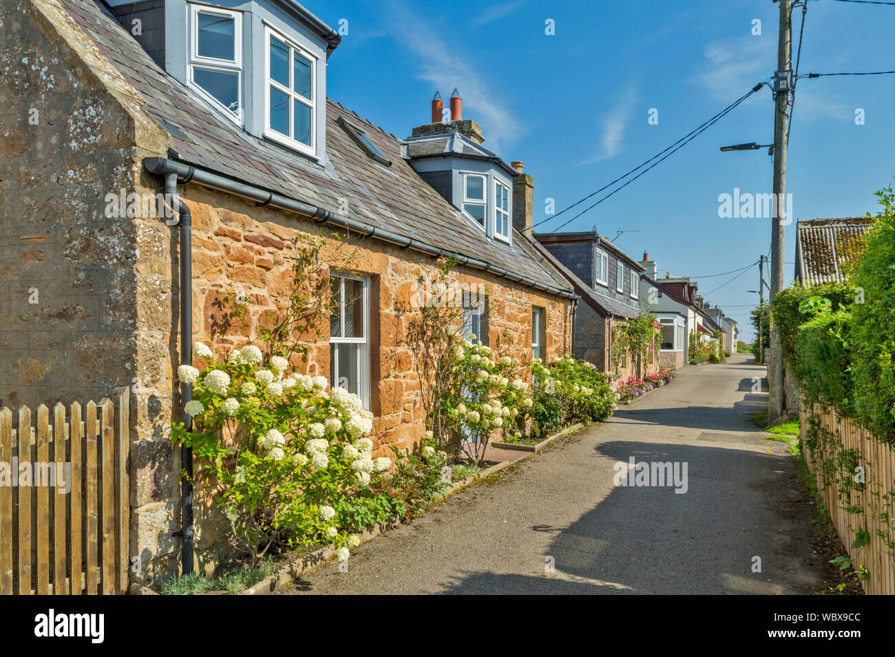 DORNOCH SUTHERLAND EN ÉCOSSE LES MAISONS DE PETITE VILLE DANS CARNAIG STREET Banque D'Images