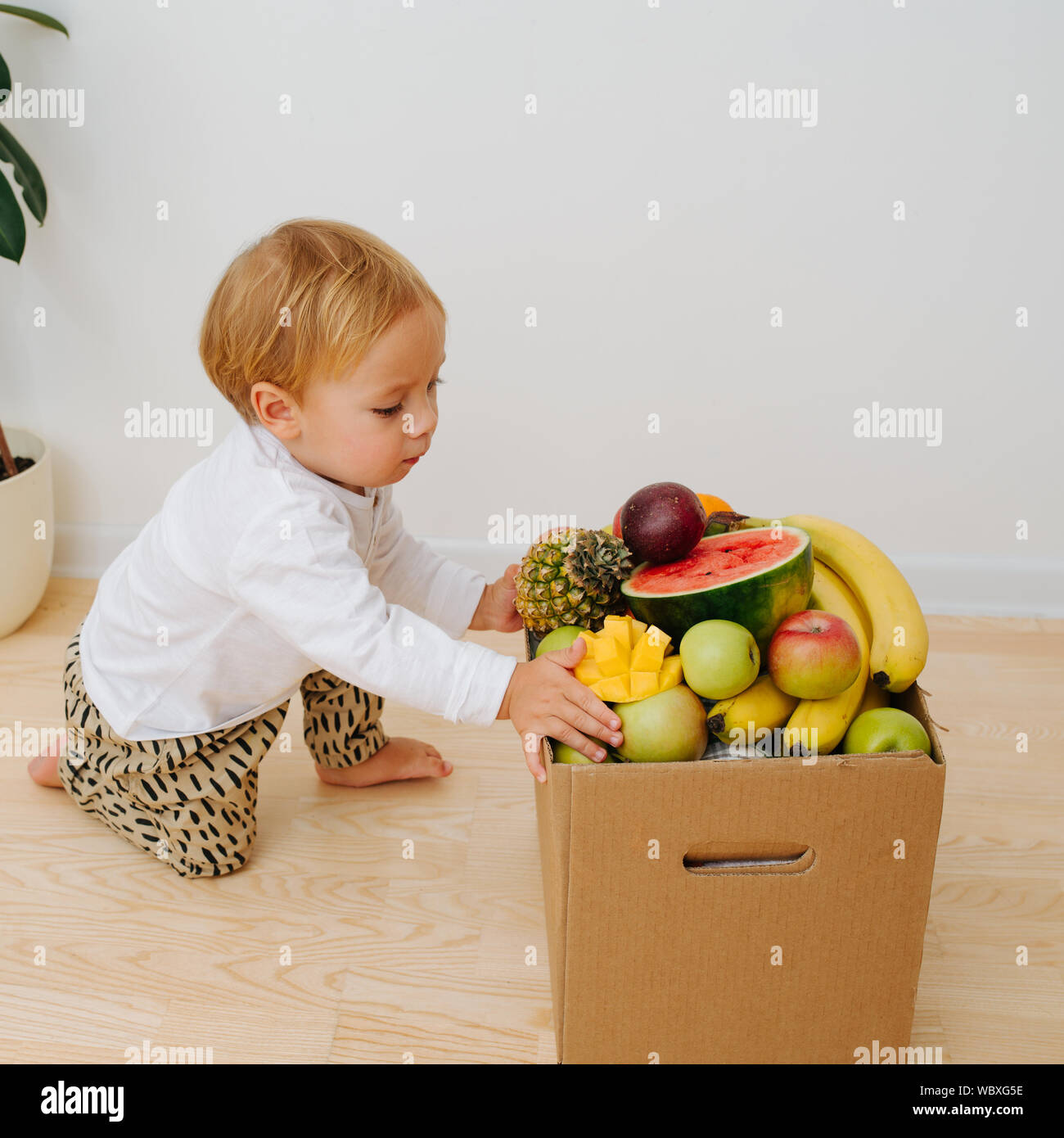 Petit Bebe Garcon Et Boite Enorme Rempli De Fruits Photo Stock Alamy